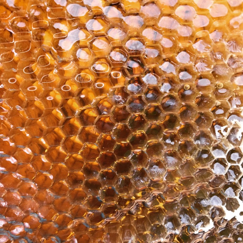 20180718_01